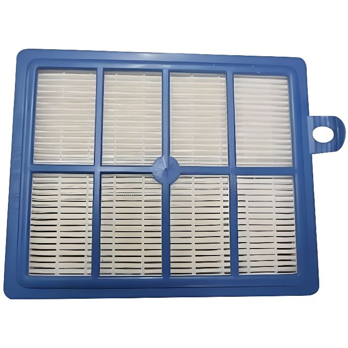 Filtre HEPA 12 lavable Electrolux ZXM7025 910287021 Référence 900195119