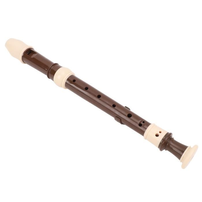 Flûte à bec soprano, Flûte à bec Soprano Instrument pour les Enfants et Étudiant - 8 Trou de la Flûte ABS Descant enregistrement pour les Débutants avec Tige de Nettoyage et le