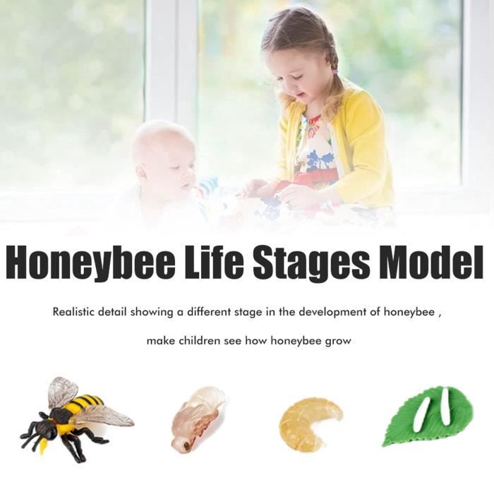 Funsland Kit Exploration Insectes Enfant – 5 Pièces + 12 Faux Insectes, Jouet Éducatif Extérieur Pour 3-6 Ans