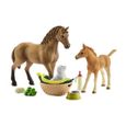 Figurine SCHLEICH - Les soins pour bébé animaux d'Horse Club Sarah - Modèle Quarter Horse - Jouet éducatif-1