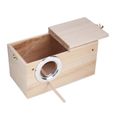 Qiilu boîte d'élevage de perroquet Accessoires de cage de cage de nid d'oiseau en bois de qualité pour perroquet (ouverture à-2