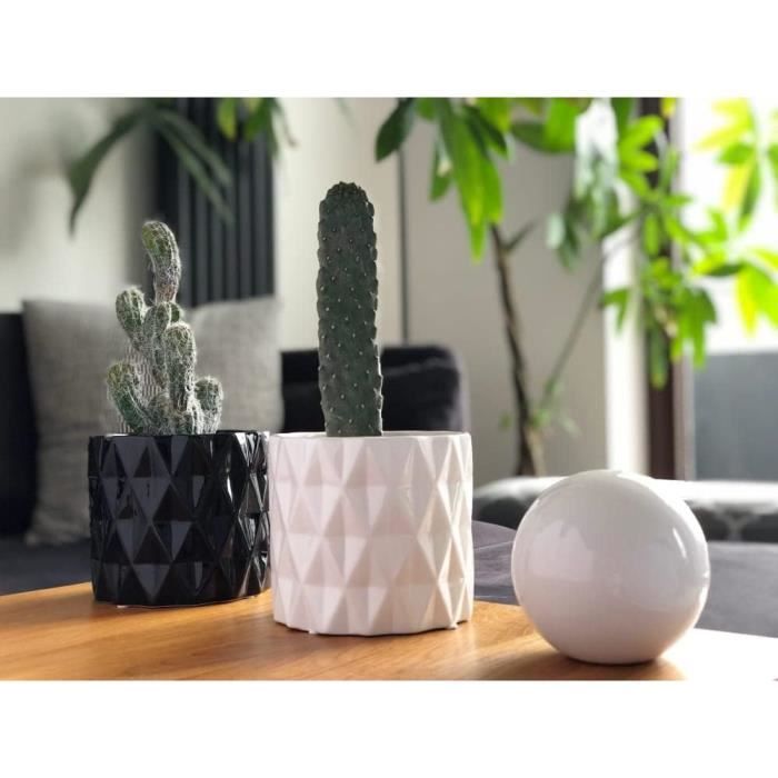 Jewelora Pot De Fleurs Céramique Personnalisé 4 Noms – Cadeau Noël Succulente, Plante Intérieur Extérieur Avec Base Bois