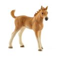 Figurine SCHLEICH - Les soins pour bébé animaux d'Horse Club Sarah - Modèle Quarter Horse - Jouet éducatif-3