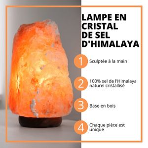 Lamare Lampe De Sel Naturel De L'himalaya De Table De 1 à 2 Kg[A227