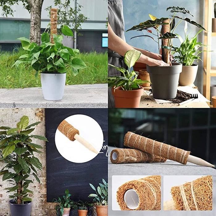 Tuteur Plante - Tuteur Plante Grimpante - pour La Maison Jardin Plante  Grimpantes Extension De Support De Plante - 40cm - 4 30 cm.