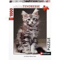 Puzzle 1000 pièces - Nathan - Chaton Maine Coon - Animaux - Adulte