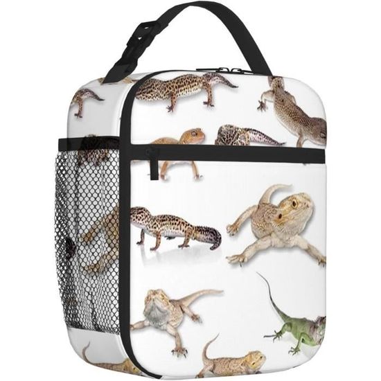 Sac à Déjeuner Isotherme Pour Femmes, Hommes, Garçons, Filles, Joli Chien Boxeur, Notes De Musique, Piano