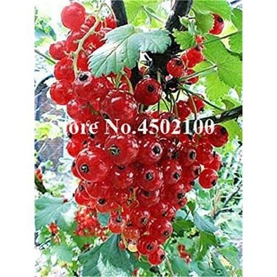 Voici Le Nouveau Billet De 50 U20ac En Circulation Ce Mardi - Le Parisien