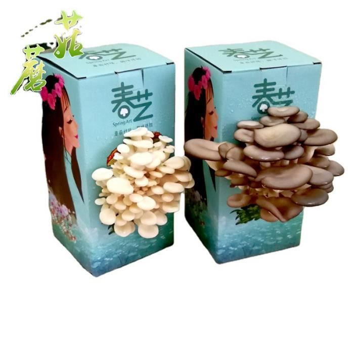 Paquet de plantation de boîtes de champignons, adapté aux enfants pour cultiver des souches de champignons comestibles