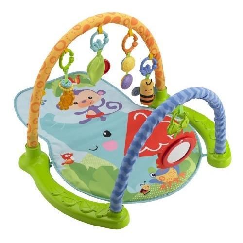 FISHER PRICE - BJL04 - JOUET DE PREMIER AGE - T…
