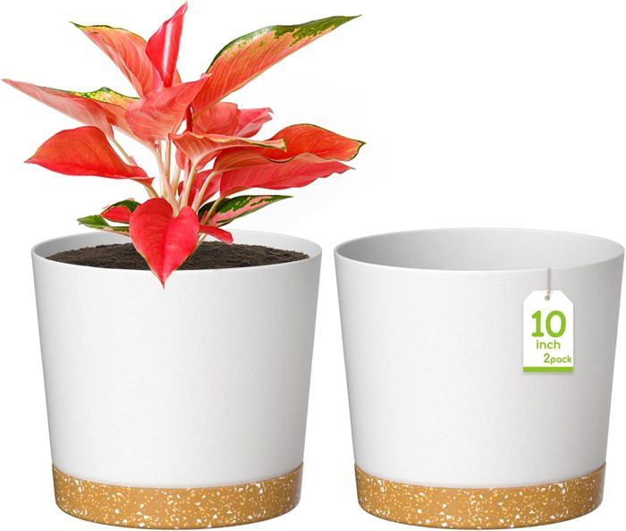 Pot A Suspendre ZMTECH Pot De Fleurs Suspendu De 30,5 Cm Pour Intérieur Et Extérieur Avec Trous De Drainage Et Soucoupe Amovible - Pots De Fleurs En Plastique Avec Rebord D'arrosage (vert Pot A Suspendre ZMTECH Pot De Fleurs Suspendu De 30,5 Cm Pour Intérieur Et Extérieur Avec Trous De Drainage Et Soucoupe Amovible - Pots De Fleurs En Plastique Avec Rebord D'arrosage (vert