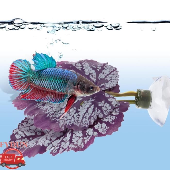 Comparer les prix de FYDUN Betta Fish Leaf Pad Hamac Betta Coussin de Feuilles de Poisson Betta Accessoires Daquarium en Soie animalerie fond