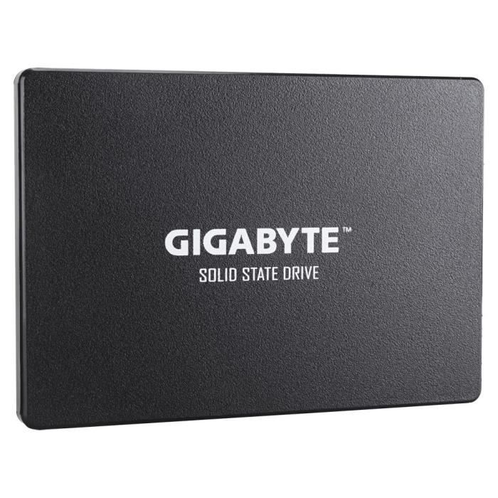 SSD - GIGABYTE - GP-GSTFS31256GTND - 256 Go - SATA3 - Noir