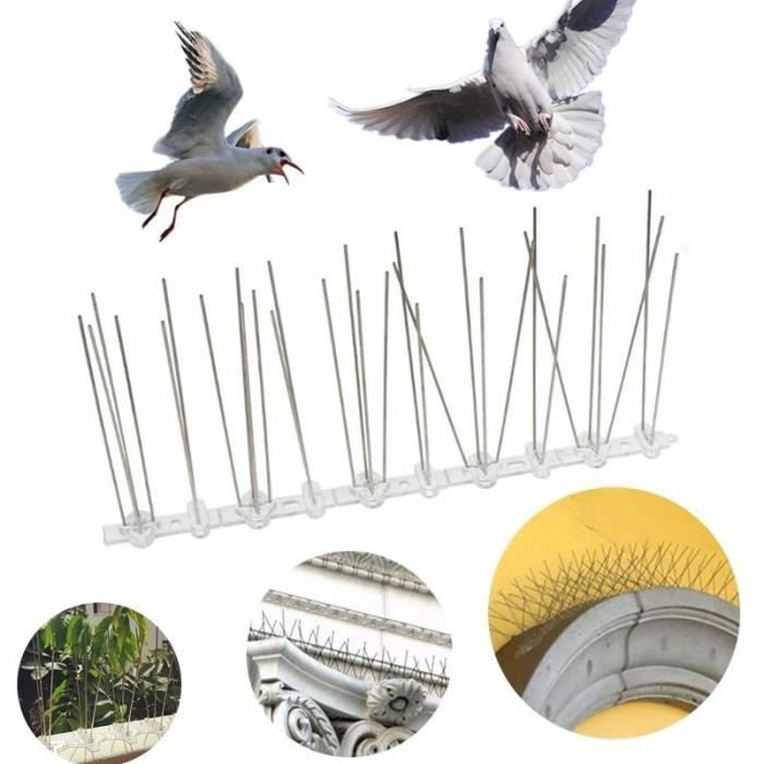 Pointes d'oiseaux en acier inoxydable - DUOKON - Lot de 12 - Empêche les oiseaux d'atterrir et