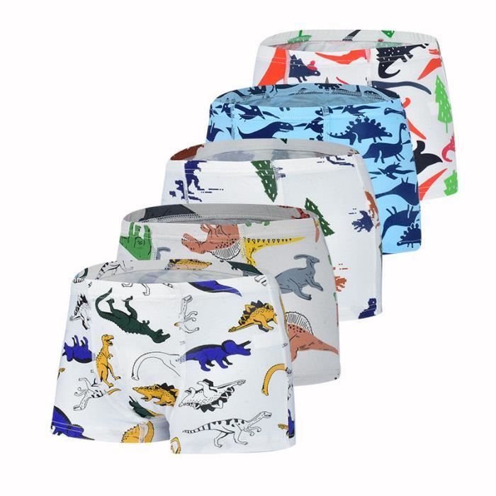 JackLoveBriefs Lot De 10 Boxers Garçon Coton Motif Dinosaures – Sous-vêtements Enfants 2-10 Ans, Respirants, Doux Et Colorés