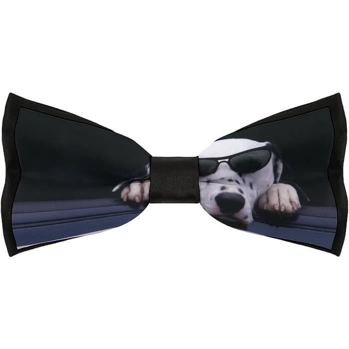 Noeud Papillon Auto-Noue Et Pochette Blanc Classique | Accessoire Mariage Ou Soirée Élégante