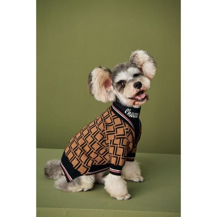 Vetement de hotsell luxe pour chien