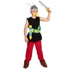 CHAKS Déguisement Astérix enfant - Astérix et Obélix - 5 à 6 ans (116 cm)