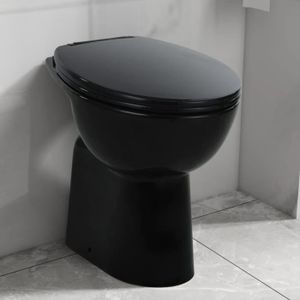 WC - TOILETTES CHEZ JM® WC Toilette - Cuvette haute sans bord fer