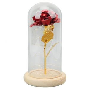 Fleurs stabilisées VGEBY Rose en dôme de verre lumineuse, cadeau roma