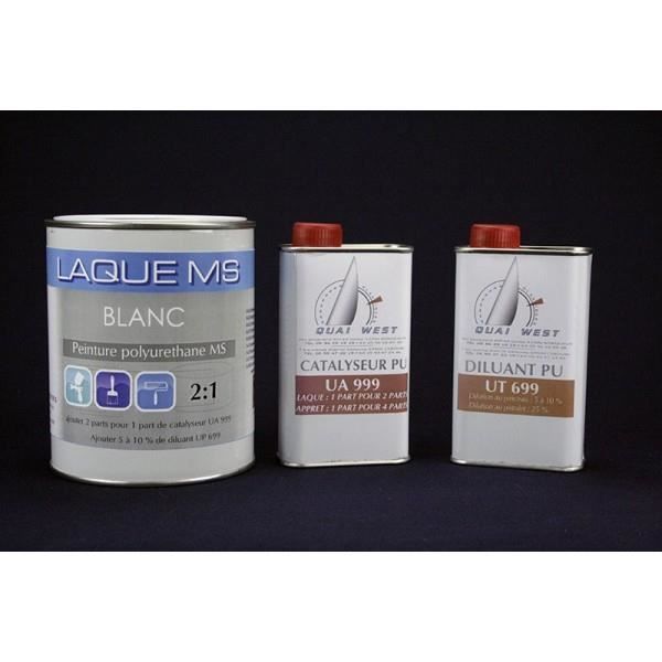 Kit 1L brillant direct blanc