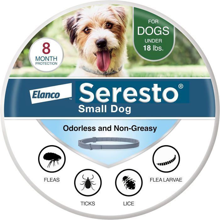 Chien Collier Seresto pour petits chiens – Recommandé par les vétérinaires  Pour chiens de moins de 8 kg  Protection 8 mois