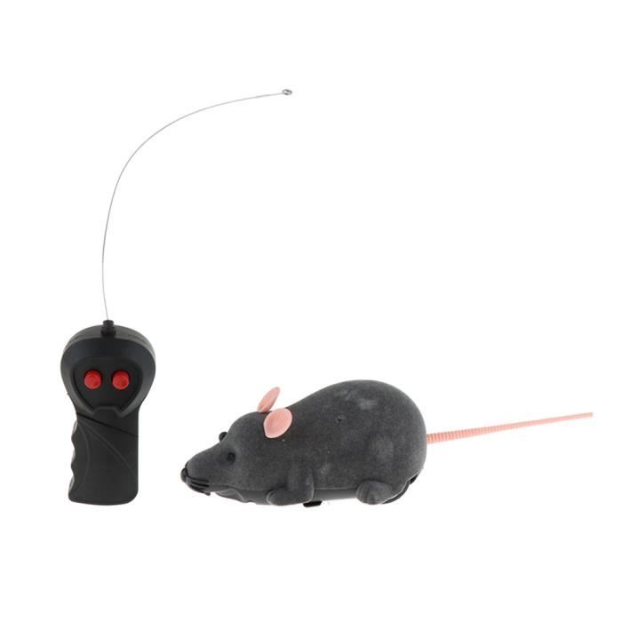 Courant Electrique Souris En Mouvement Chat Rat Chat Interactif Jouet Gris Achat Vente Jouet Jouet De Chat 1 Piece Cdiscount Courant Electrique Souris En Mouvement Chat Rat Chat Interactif Jouet Gris Achat Vente Jouet Jouet De Chat 1 Piece Cdiscount