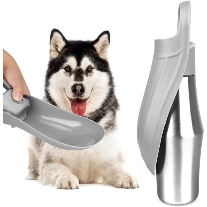 Bouteille deau Portable pour Chien 750 ML Gourde Chien à Boire dacier Inoxydable Gourde pour Chien Pliable