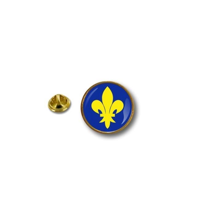 pins pin badge pin's metal broche pince papillon drapeau fleur de lys r8 
