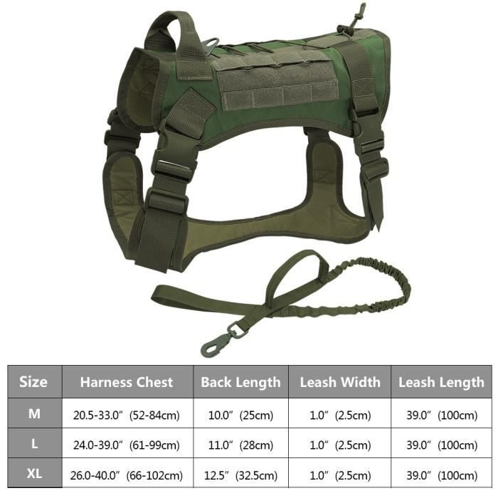 Harnais D'entraînement Equitem Pour Mini Cheval – Cuir Brun Ou Noir (Taille A)