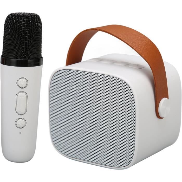 Microphone sans fil avec haut parleur - Cdiscount