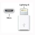 Adaptateur 8/30 pin USB Micro Type C pour iPhone iPad, Modele: 8 pin M / Micro USB F-1