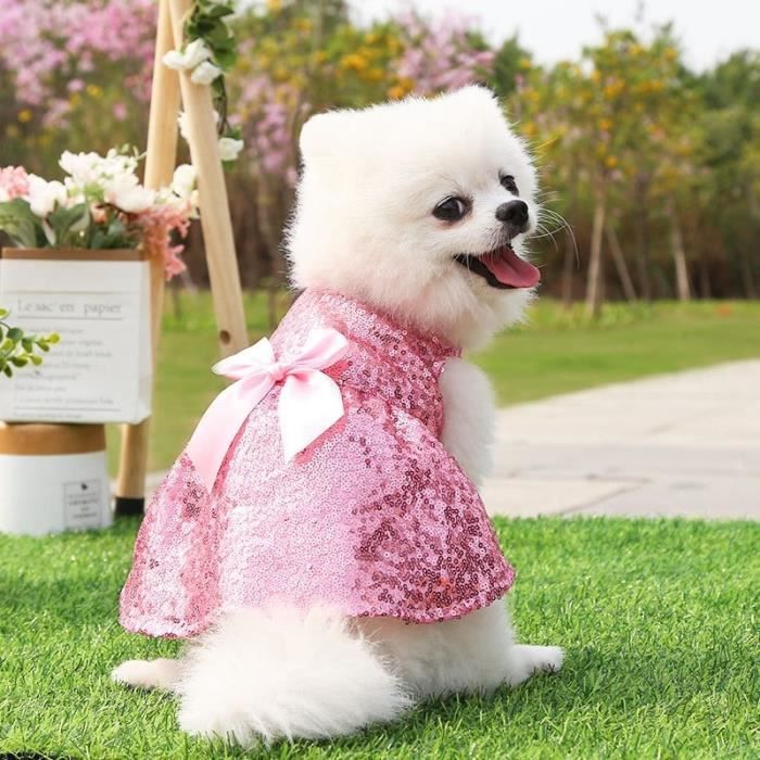 Manteau new arrivals pour bichon