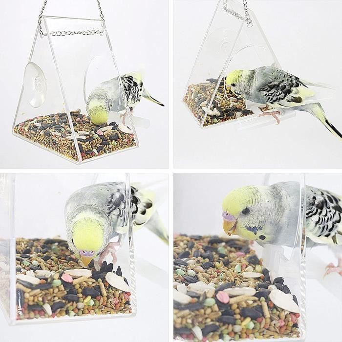 Mangeoire à oiseaux avec fenêtre - transparente - avec chaîne en métal et  ventouses - distributeur de nourriture pour oiseaux[A191] - Cdiscount