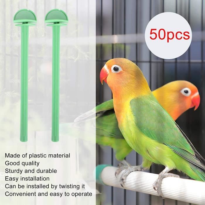 Bâton Debout D'oiseau 50Pcs Bâton de Cage à Oiseaux en Plastique