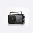 WE Radio Portable Grandes Ondes : FM/AM/SW/LW avec Haut-Parleur intégré, Antenne externe, avec Poignée de transport - Noir-0