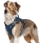 RABBITGOO Harnais Chien Anti Traction, Harnais Tactique Chien Réfléchissant Réglable avec Poignée et Anneaux pour Entraînement Chasse Bleu-M