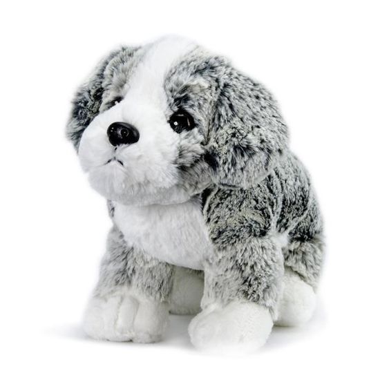 soft friends chien