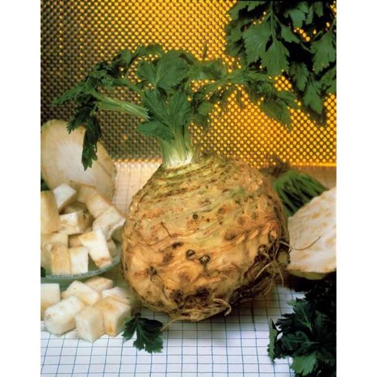 Graines De Céleri-rave Géant De Prague - Pour Potager, Grosse Pomme Blanche, Semis De Mars à Mai - Sachet Germisem - 6