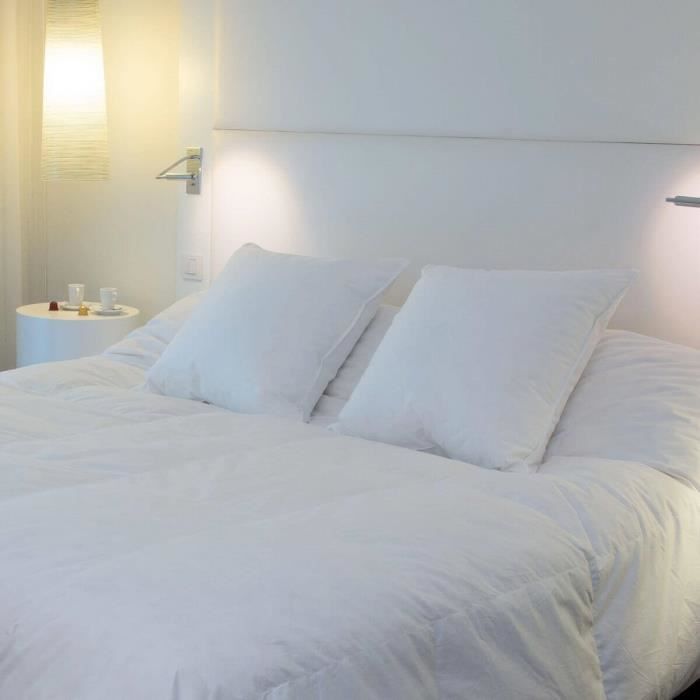Oreiller Duvet-Plumettes 60x60 cm