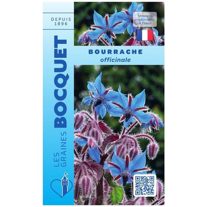 Graine - Semence - Bourrache Officinale