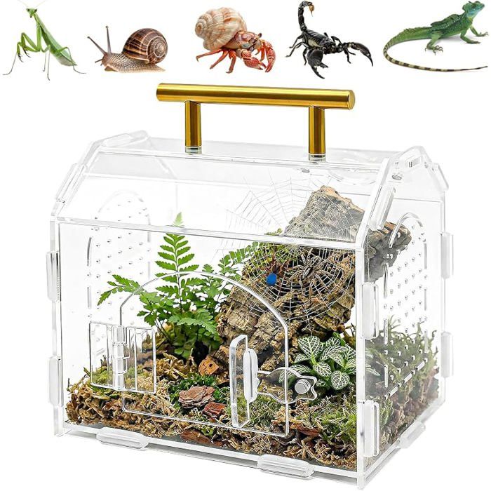 Terrarium à Insectes Vivarium Terrarium en Acrylique avec Fermeture magnétique Portable boîte alimentation pour PERCHOIR