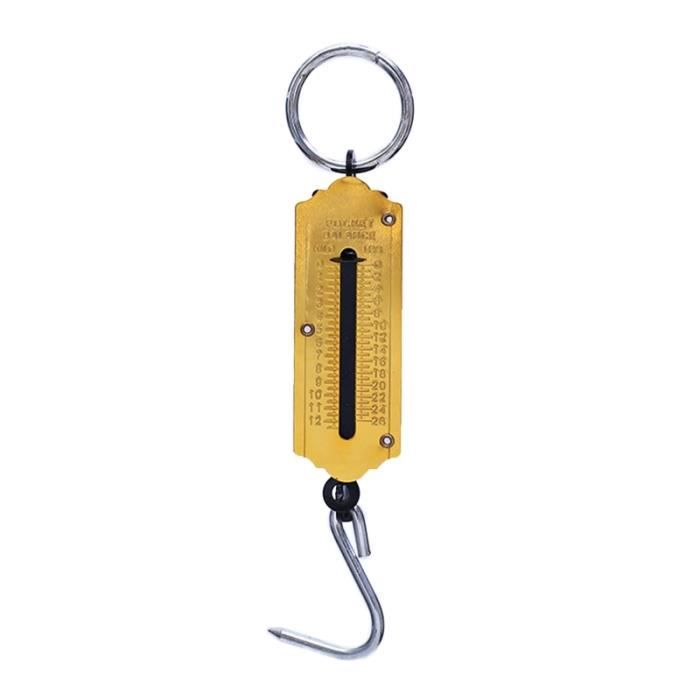 Gudalea Balance à ressort, manuelle, à suspendre, sans batterie, balance de pêche, 2 en 1, avec mètre ruban de 1 m, jusqu'à 22 kg Gudalea Balance à ressort, manuelle, à suspendre, sans batterie, balance de pêche, 2 en 1, avec mètre ruban de 1 m, jusqu'à 22 kg