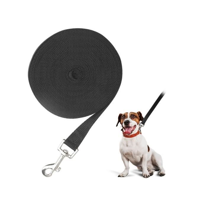Longe pour Chien - 10m - Nylon Résistant - Imperméable - Pour Dressage