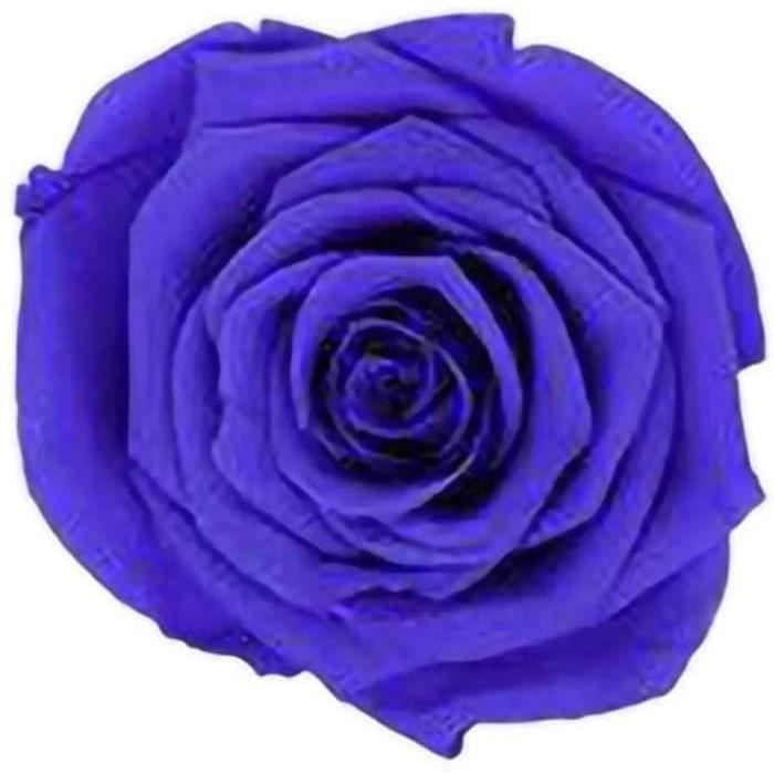 Fleur Artificielle 6 Roses séchées Fleur Corolle Fleur éternelle Classe B  de Mariage de la Famille Cadeaux Décoration Saint Valentin - Cdiscount  Maison