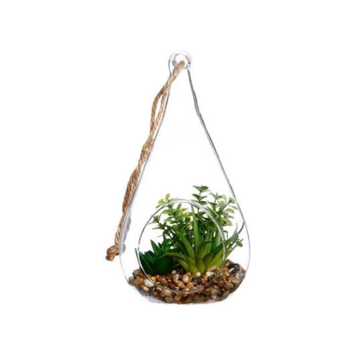Comparer les prix de Terrarium en verre forme Goutte H19.5cm - SILUMEN - Aloe Vera, Vert et Transparent