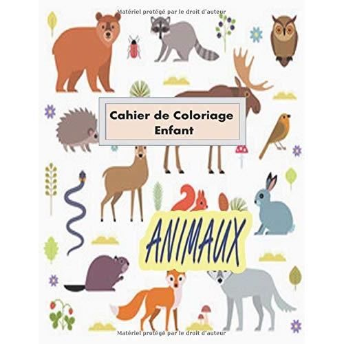 Cahier de Coloriage Enfant ANIMAUX: Pour les Enfants de 2 ans , 3