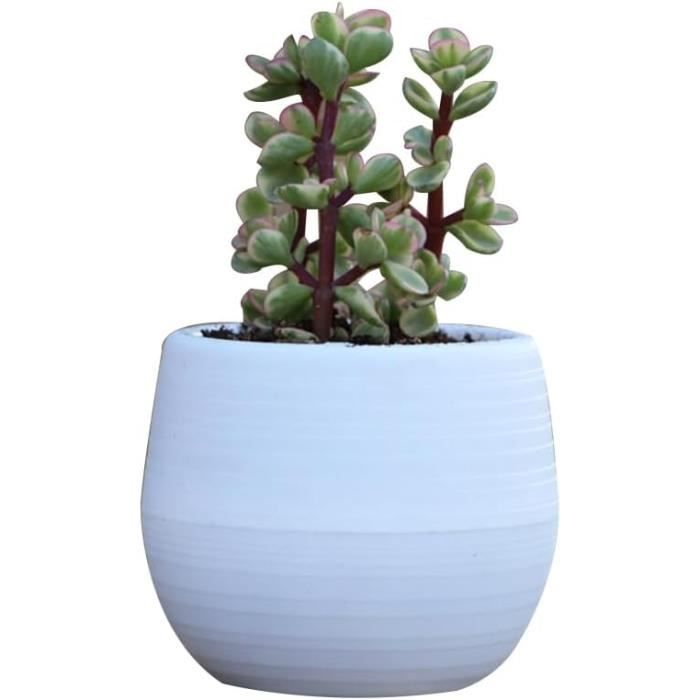 WUIOAUSXN Pots De Fleurs Légers Et élégants Pour Petits