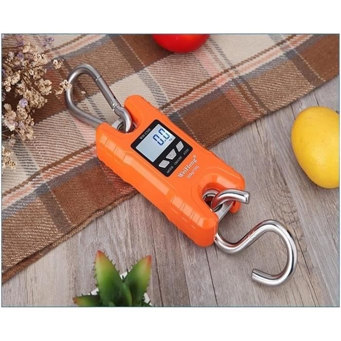 Scales - Zebco Fisherman De-Liar