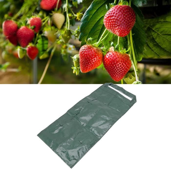 RUI Sac de plantation de fraises suspendu sac de plantation de plantes PE poreux fraises légumes fleurs vert (8 bouchées) tout neuf